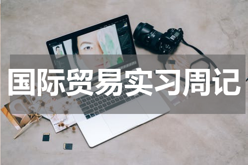 国际贸易实习周记