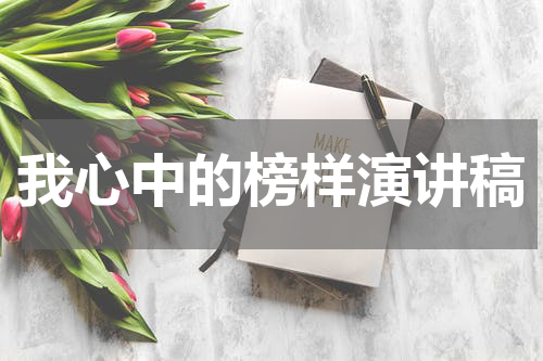 我心中的榜样演讲稿