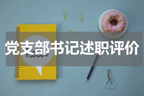 党支部书记述职评价