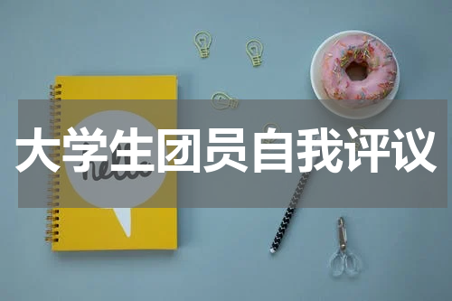 大学生团员自我评议