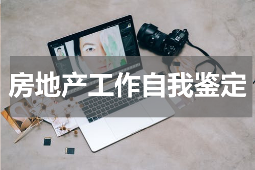 房地产工作自我鉴定