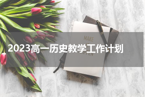 2023高一历史教学工作计划