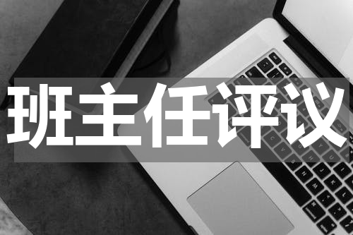 班主任评议