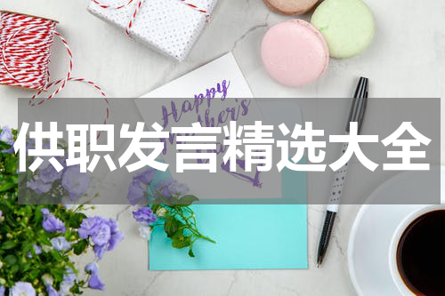供职发言精选大全