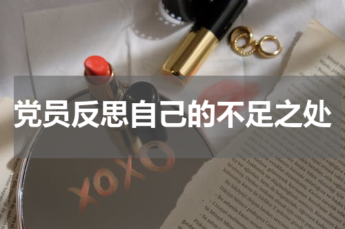 党员反思自己的不足之处