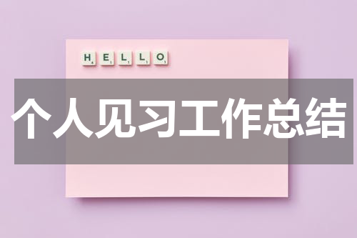 个人见习工作总结
