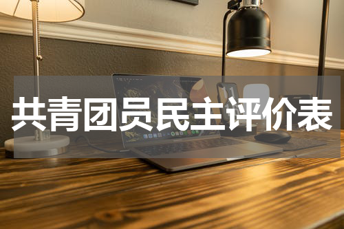 共青团员民主评价表