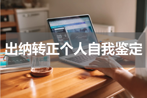 出纳转正个人自我鉴定