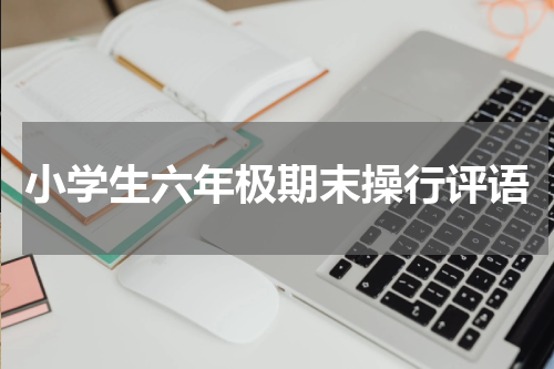 小学生六年极期末操行评语