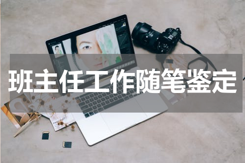 班主任工作随笔鉴定
