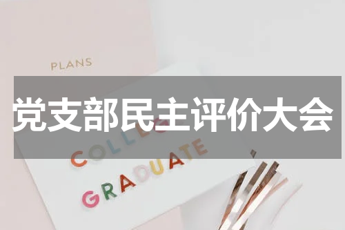 党支部民主评价大会