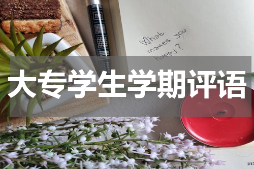 大专学生学期评语