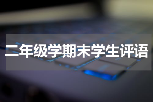 二年级学期末学生评语