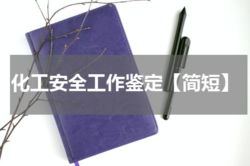 化工安全工作鉴定【简短】