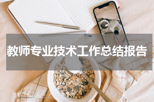 教师专业技术工作总结报告