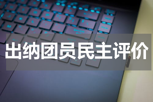 出纳团员民主评价