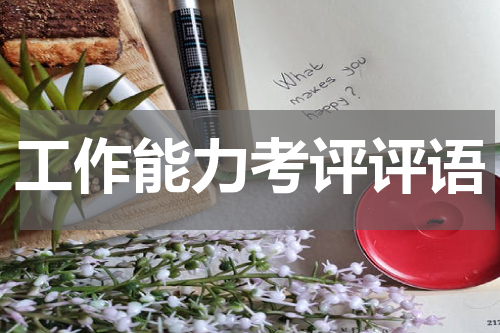 工作能力考评评语