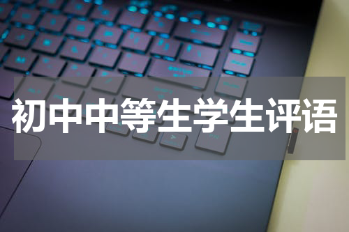 初中中等生学生评语
