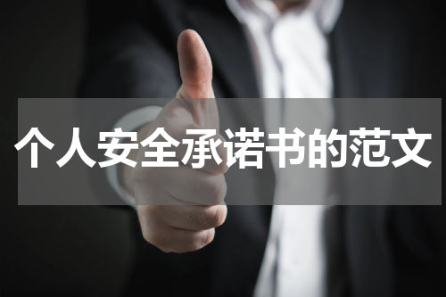 个人安全承诺书的范文