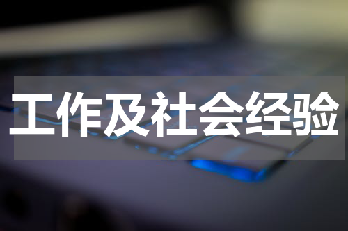 工作及社会经验
