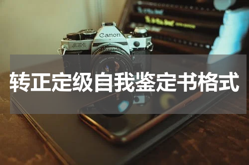 转正定级自我鉴定书格式