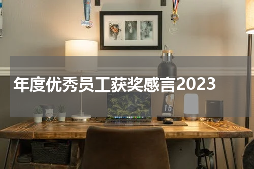 年度优秀员工获奖感言2023