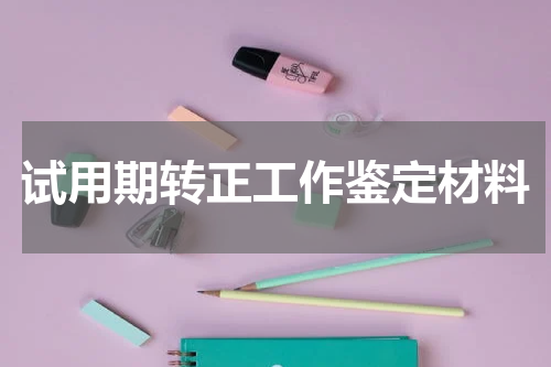 试用期转正工作鉴定材料