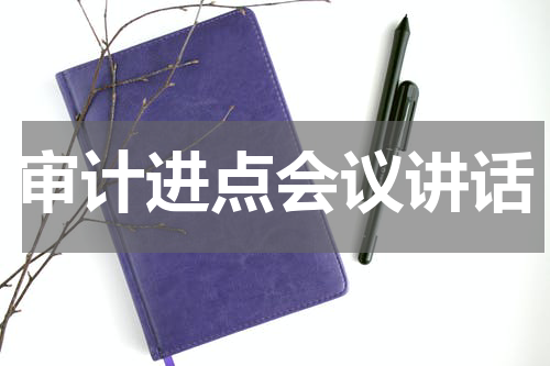 审计进点会议讲话