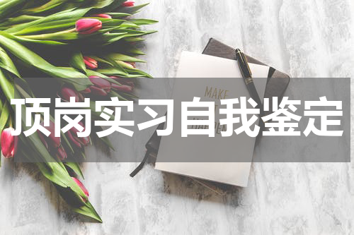 顶岗实习自我鉴定
