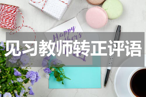 见习教师转正评语