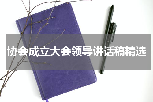 协会成立大会领导讲话稿精选