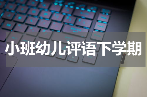 小班幼儿评语下学期