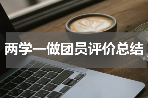 两学一做团员评价总结