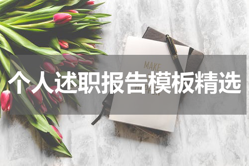 个人述职报告模板精选