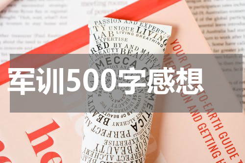 军训500字感想