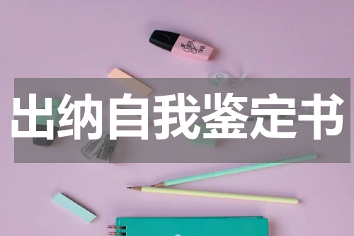 出纳自我鉴定书