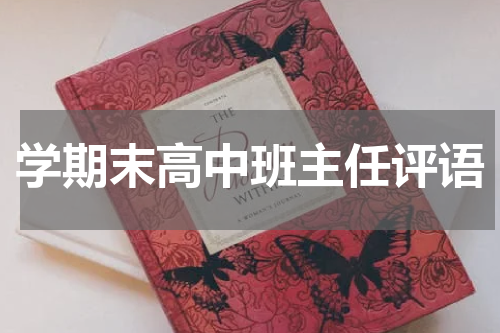 学期末高中班主任评语