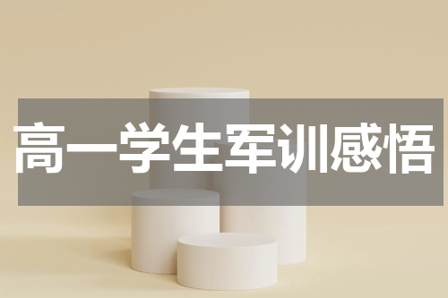 高一学生军训感悟