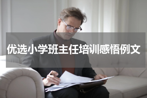 优选小学班主任培训感悟例文
