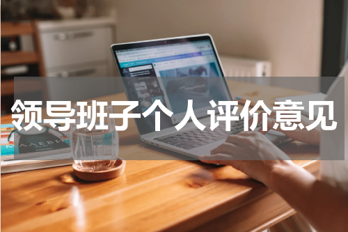 领导班子个人评价意见
