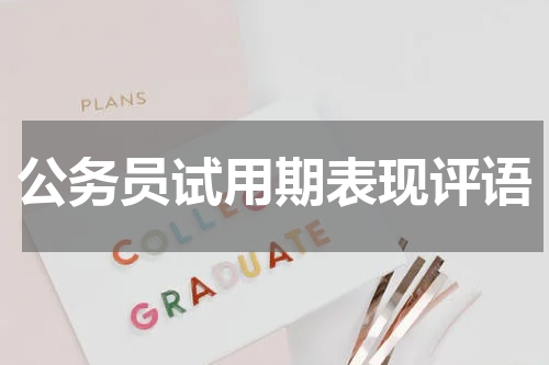 公务员试用期表现评语