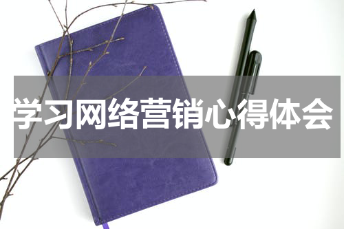 学习网络营销心得体会
