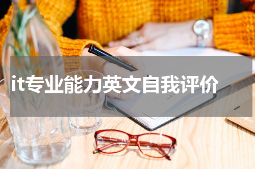it专业能力英文自我评价