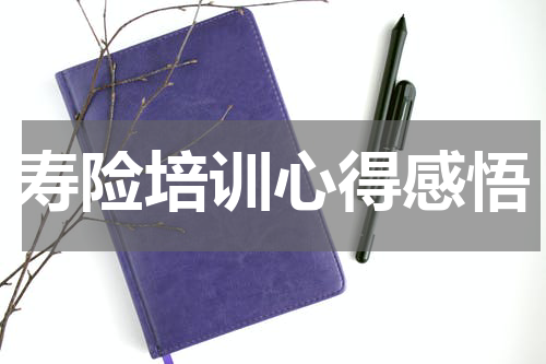 寿险培训心得感悟