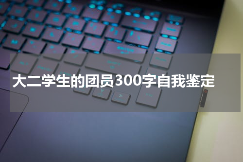 大二学生的团员300字自我鉴定