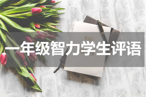 一年级智力学生评语
