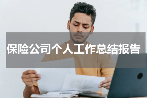 保险公司个人工作总结报告