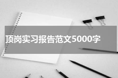 顶岗实习报告范文5000字