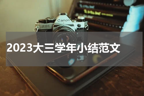 2023大三学年小结范文