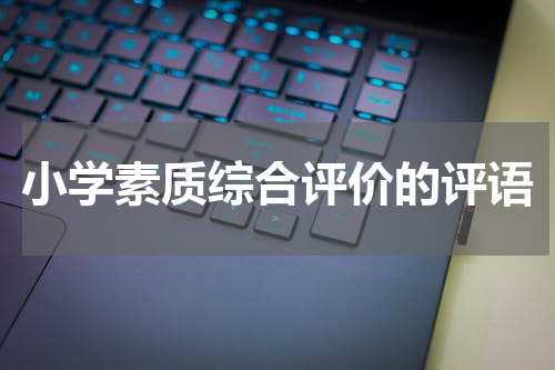 小学素质综合评价的评语